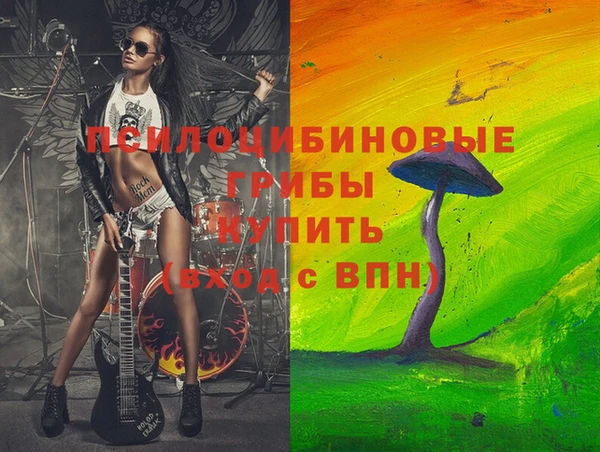 Альфа ПВП Арсеньев